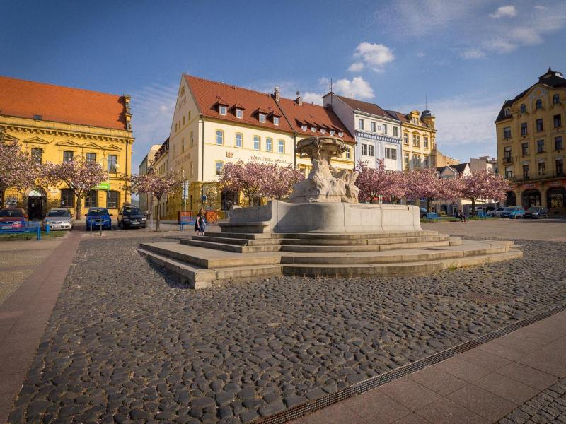 Hotel Ceská Koruna image