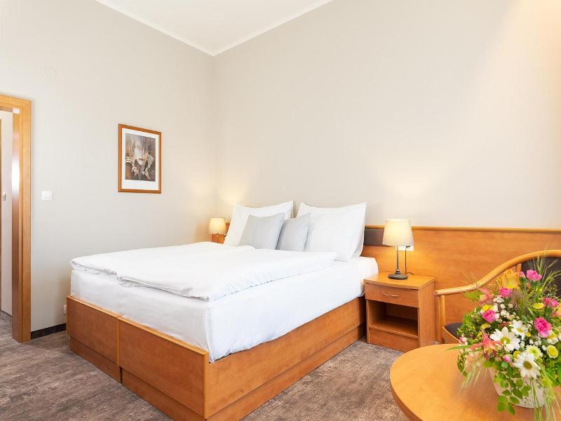 Hotel Ceská Koruna image