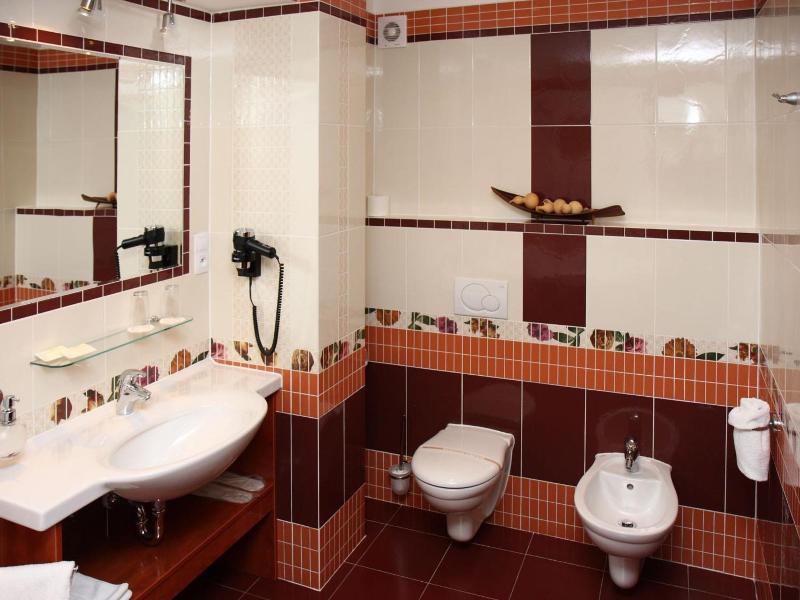 Hotel Ceská Koruna image