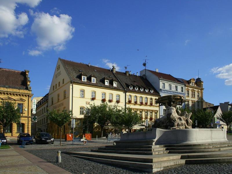 Hotel Ceská Koruna image