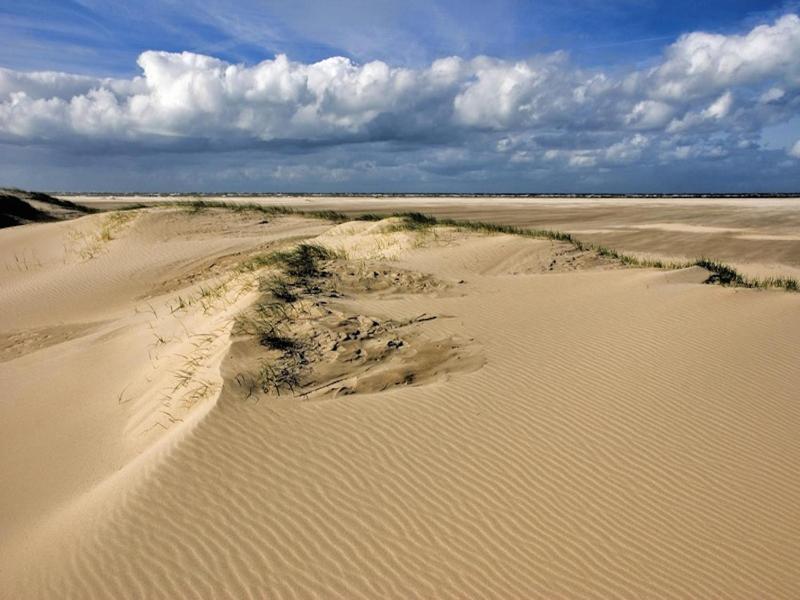 Ara Dune Hotel image