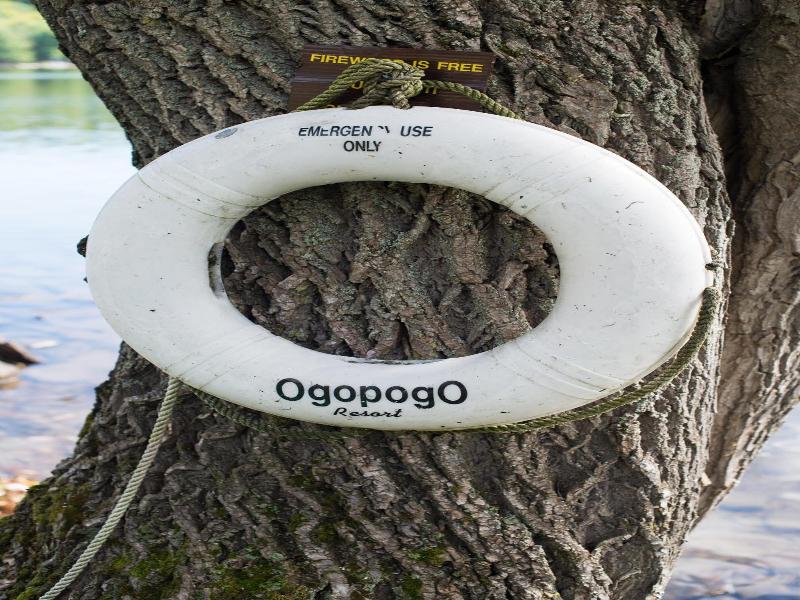 Ogopogo Resort — photo 29