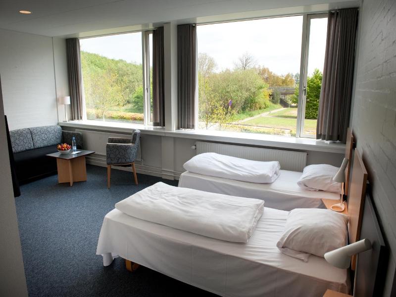 Vingsted Hotel & Konferencecenter image