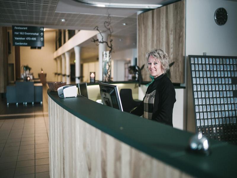Vingsted Hotel & Konferencecenter image