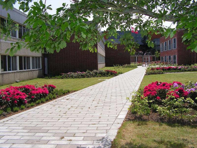 Vingsted Hotel & Konferencecenter image