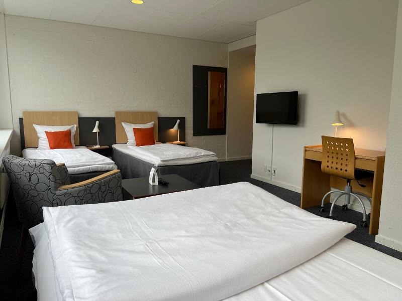 Vingsted Hotel & Konferencecenter image
