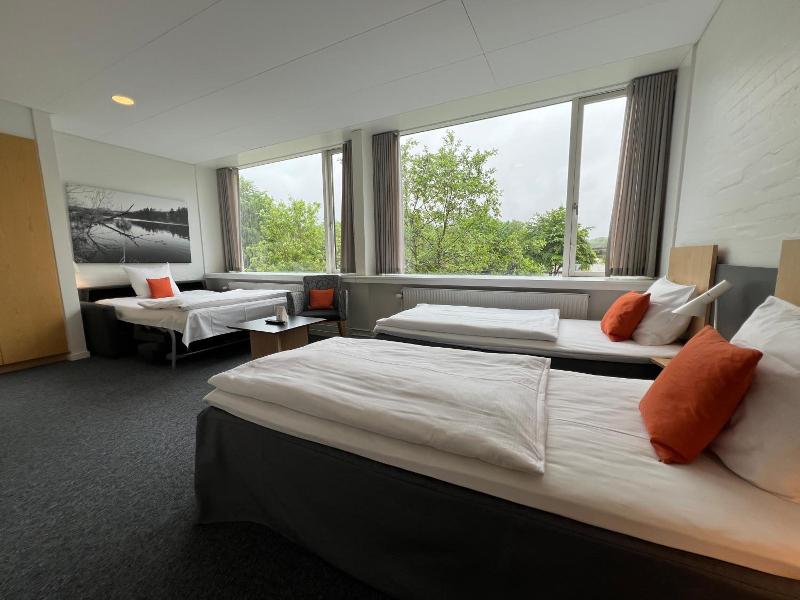Vingsted Hotel & Konferencecenter image