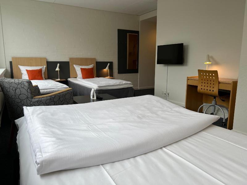 Vingsted Hotel & Konferencecenter image