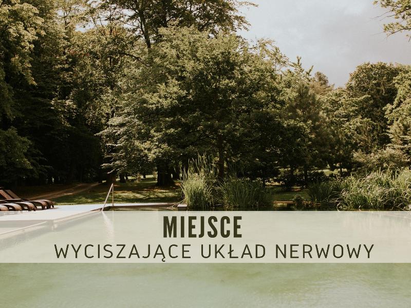 Hotel Debowy Biowellness & Spa Góry Sowie image