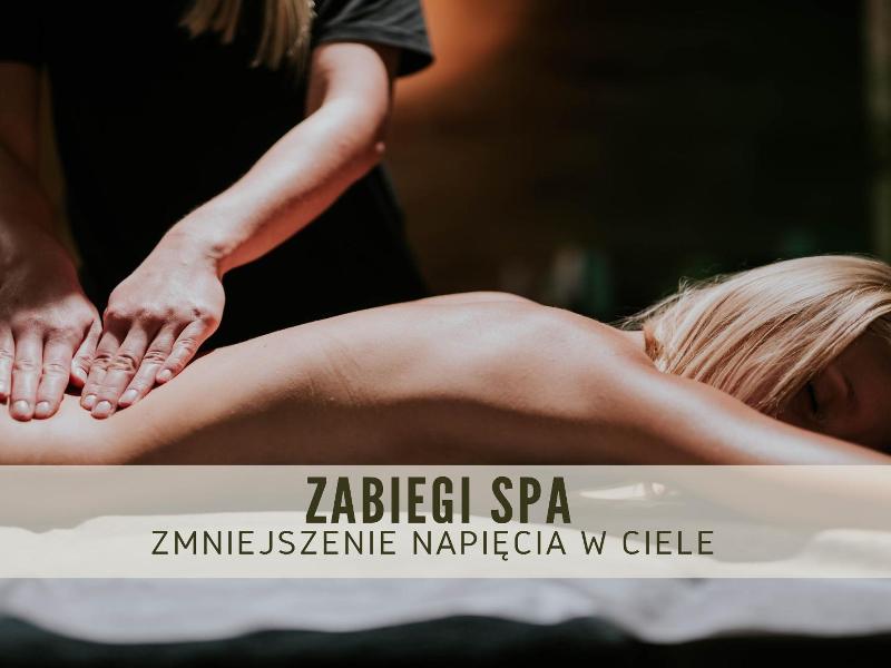 Hotel Debowy Biowellness & Spa Góry Sowie image