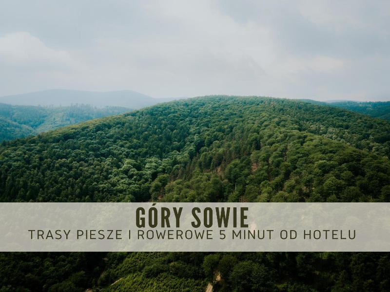 Hotel Debowy Biowellness & Spa Góry Sowie image