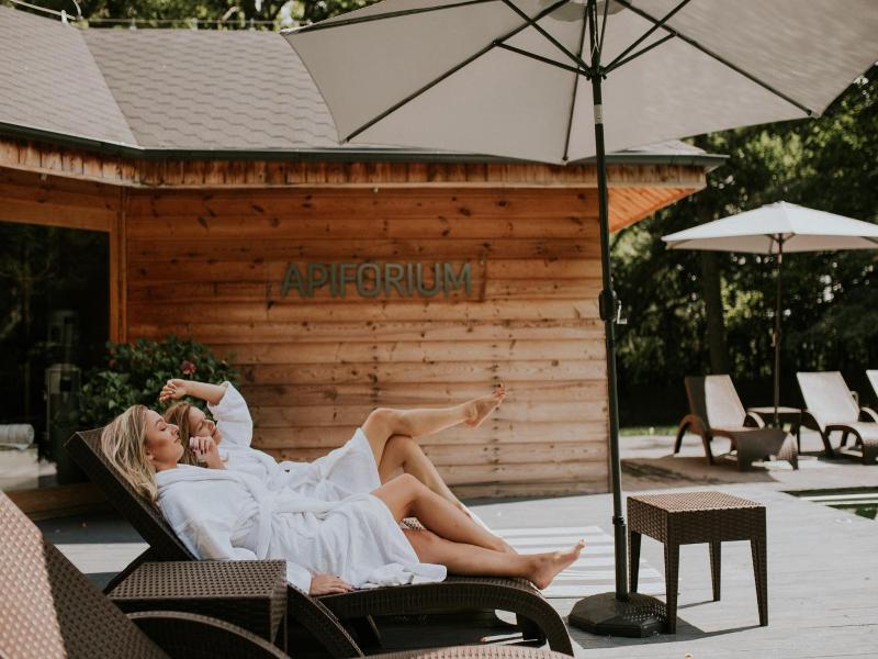 Hotel Debowy Biowellness & Spa Góry Sowie image