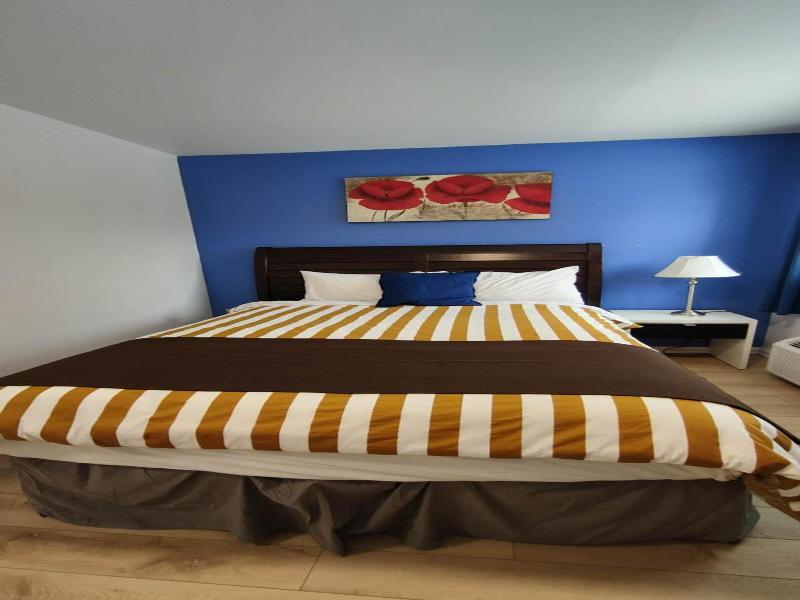 Motel Le Radisson De Val-david — photo 28