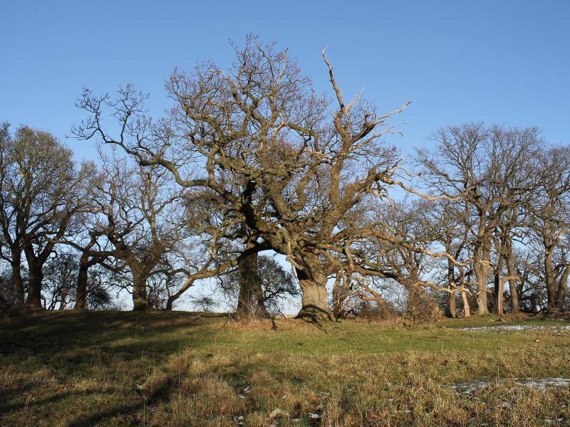 Fuglsang Herregaard Hotel image