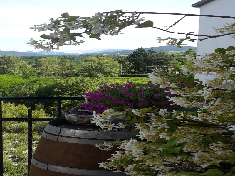 B&b Borgo Cortese image