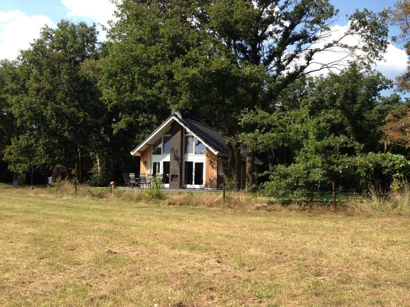 Chalet In Reutum With Sauna And Nature image