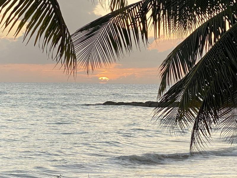 The Royal Bliss Barbados image