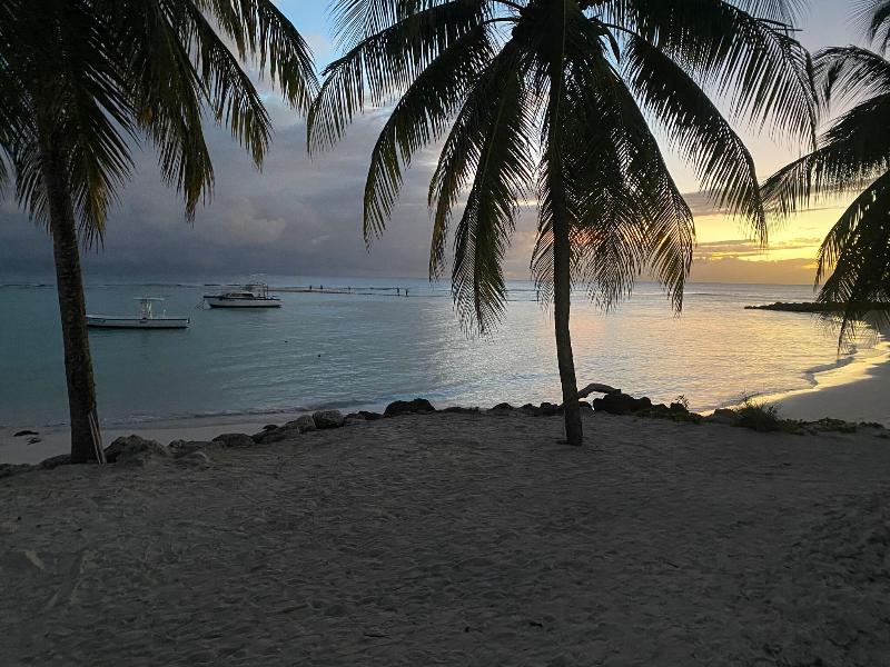 The Royal Bliss Barbados image