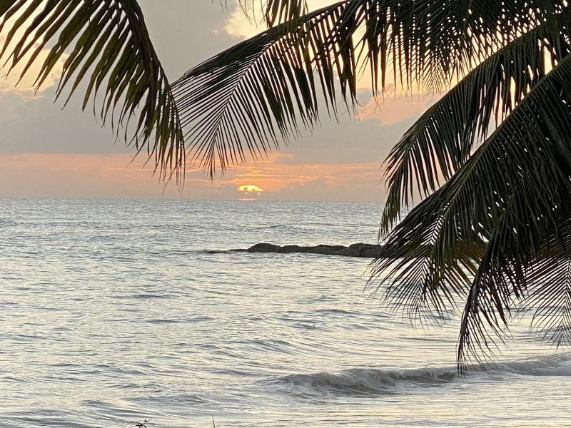 The Royal Bliss Barbados image