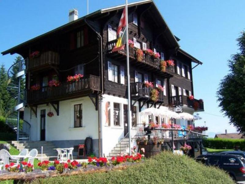 Hôtel De Torgon image