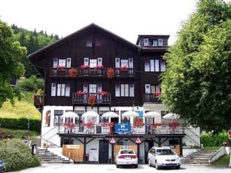 Hôtel De Torgon image