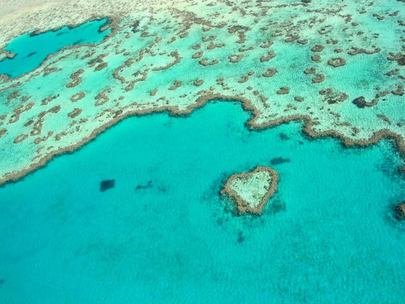 Shingley Beach Resort - Whitsundays image