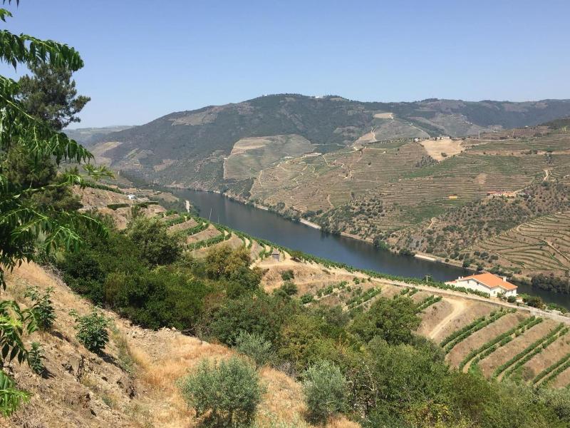 Refugio D Anita Douro Valley House image