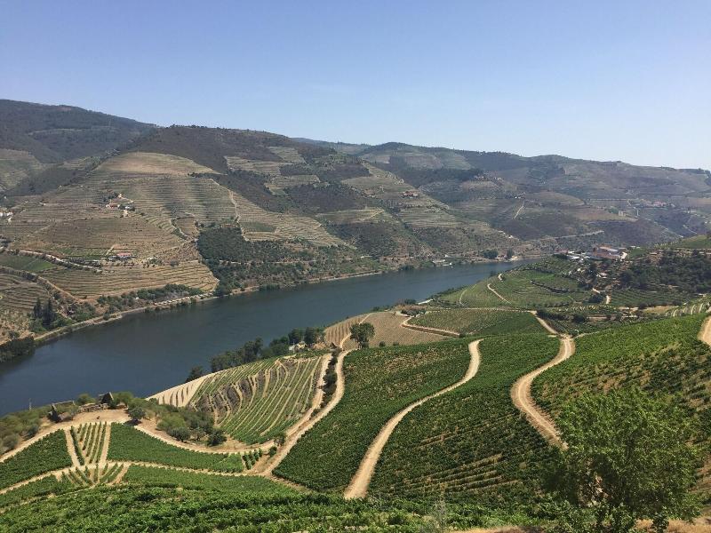 Refugio D Anita Douro Valley House image