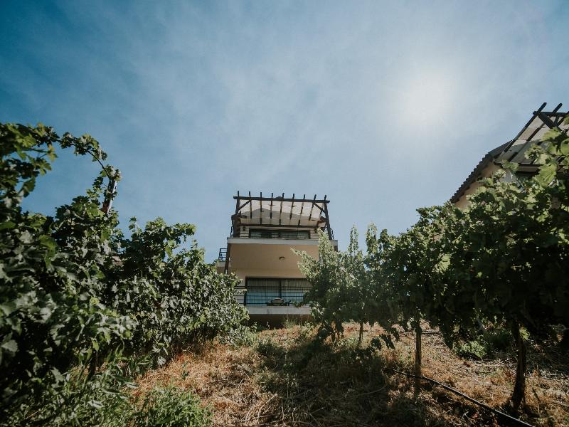 Gillham Vineyard Adults Only image