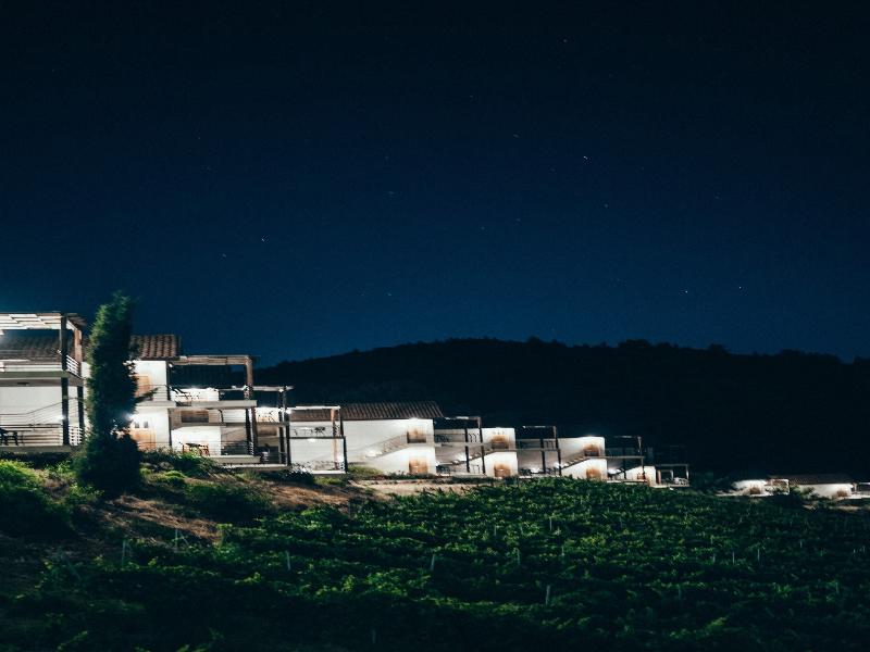 Gillham Vineyard Adults Only image