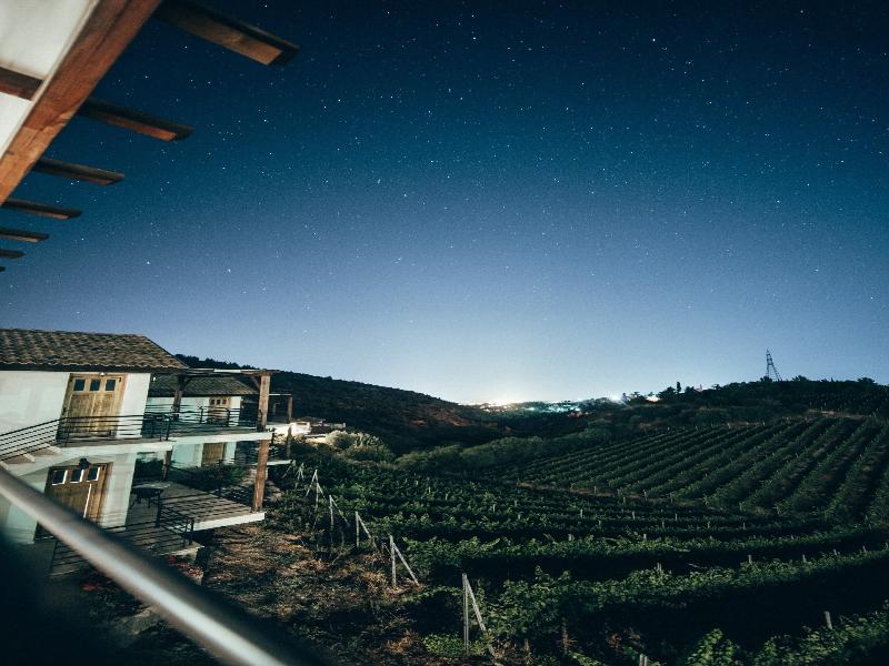 Gillham Vineyard Adults Only image