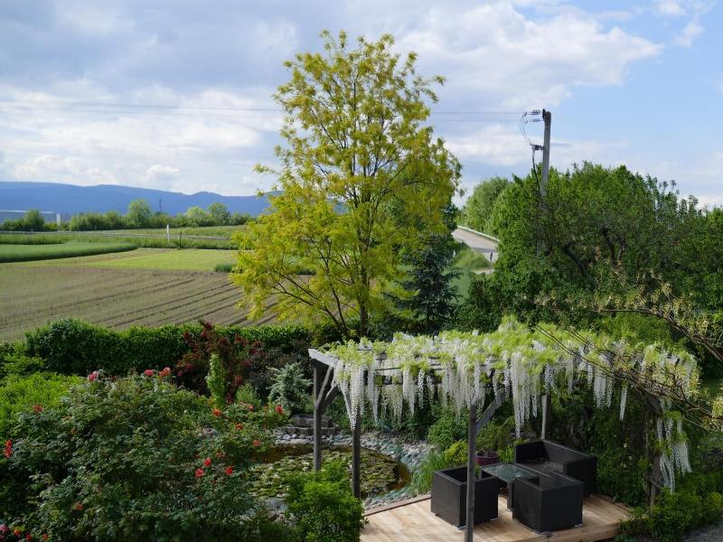 Au Relais De L'ill image