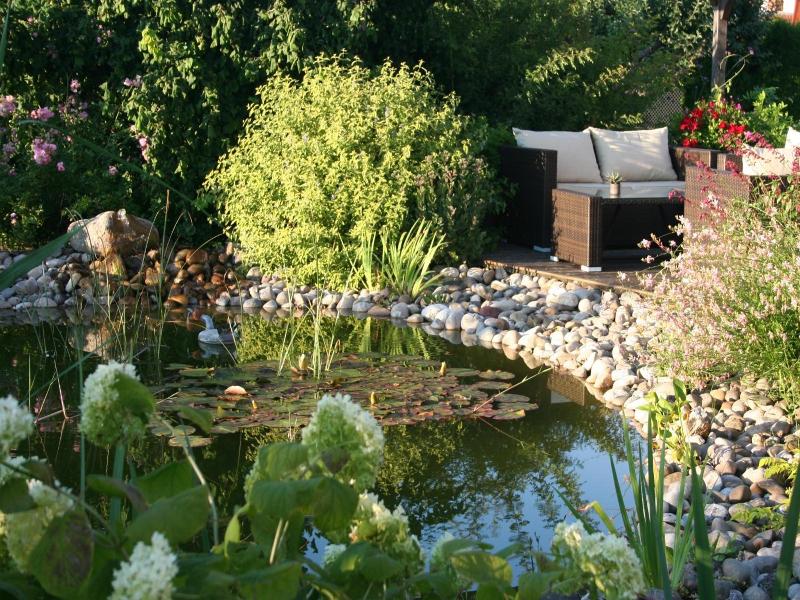 Au Relais De L'ill image