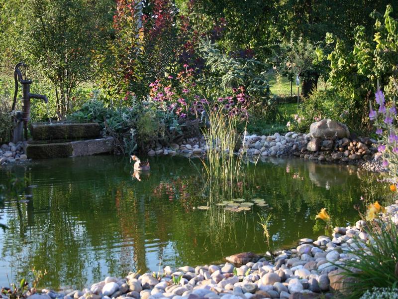 Au Relais De L'ill image