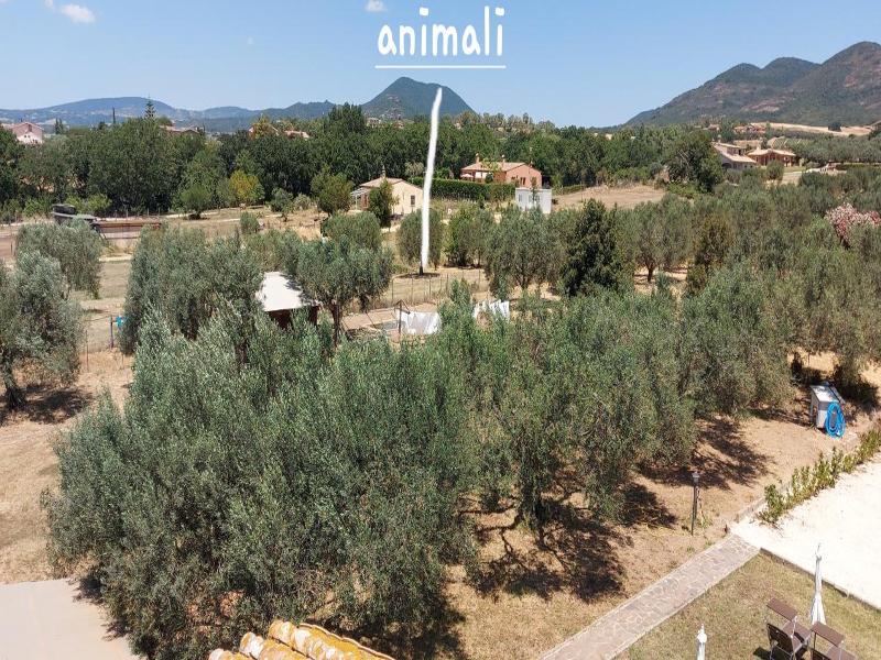 Villa Klinai image
