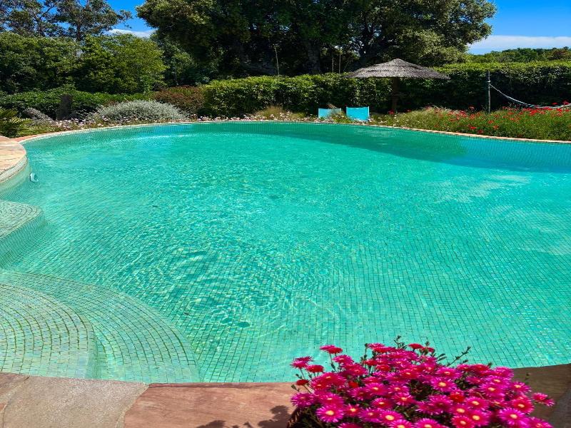 Villa Des Delices image