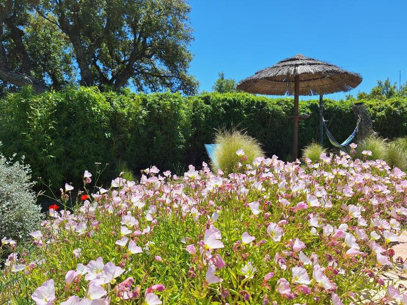 Villa Des Delices image