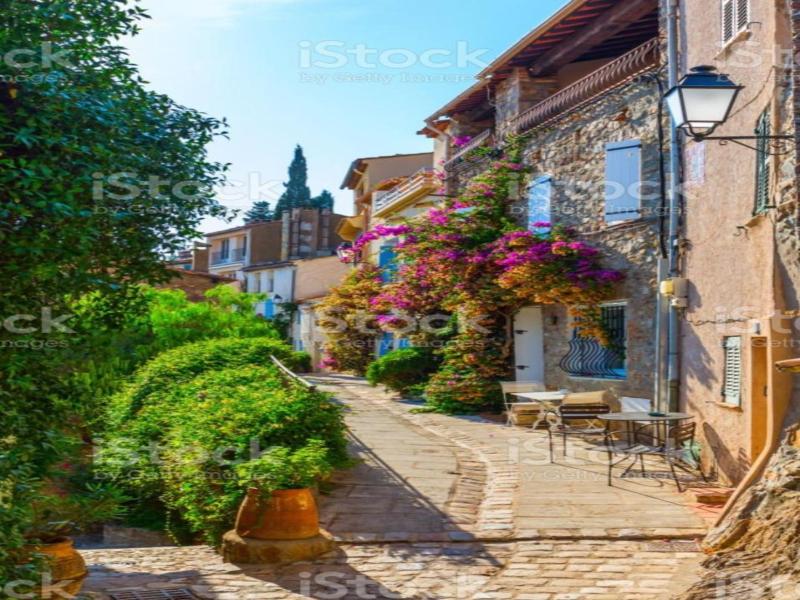 Villa Des Delices image