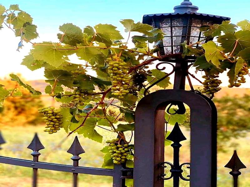 Casa Stella Country House image