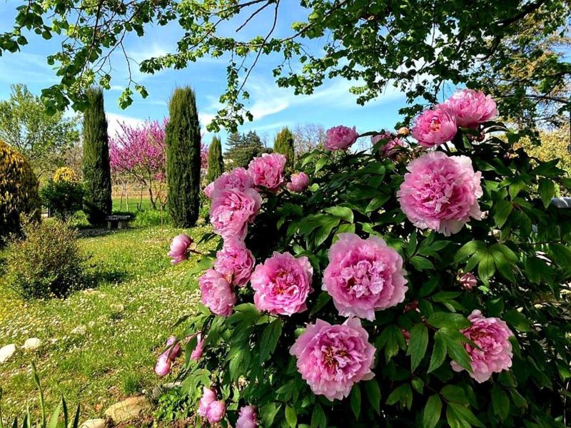 Casa Stella Country House image