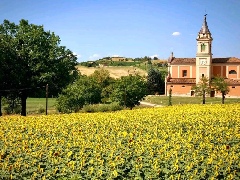 Casa Stella Country House image