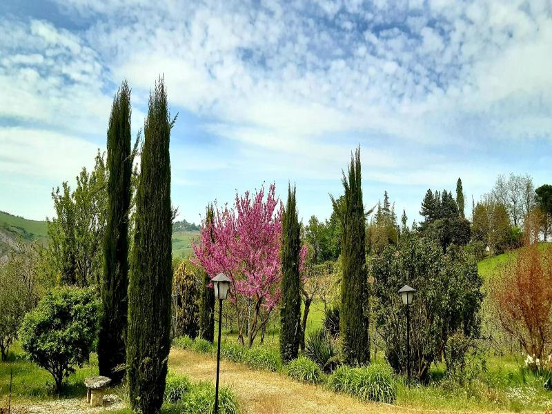 Casa Stella Country House image