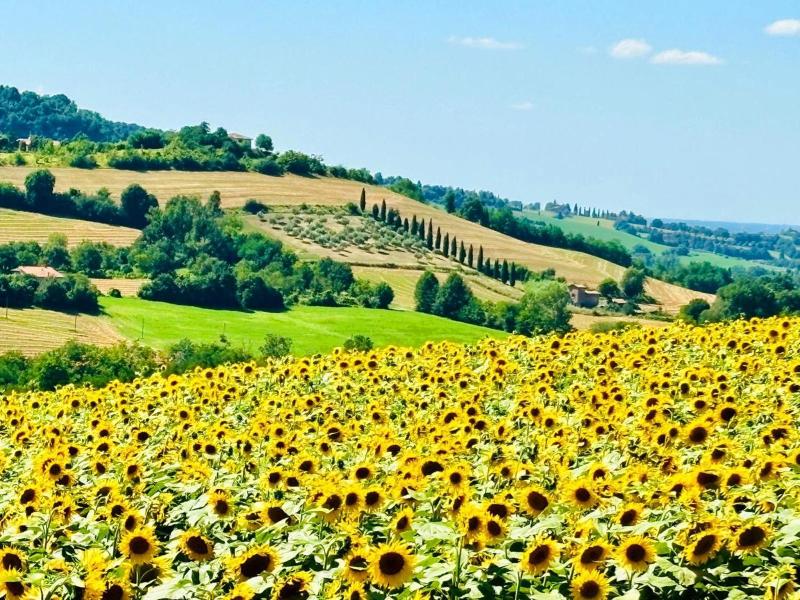 Casa Stella Country House image