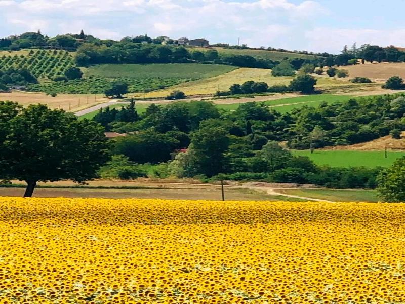 Casa Stella Country House image