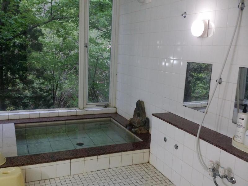 Tenjin Lodge image