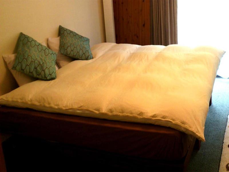 Tenjin Lodge image
