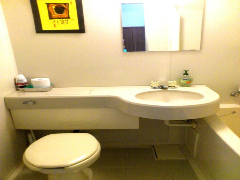 Tenjin Lodge image