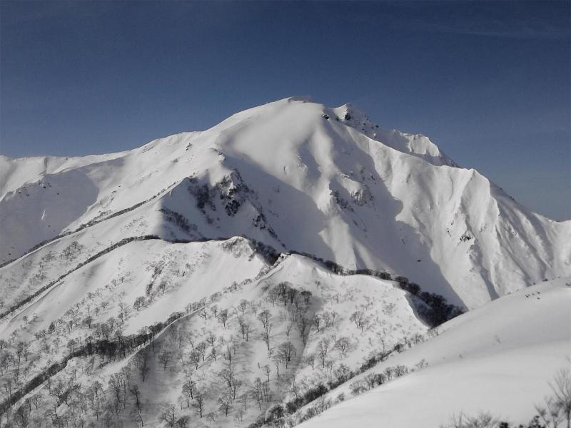 Tenjin Lodge image