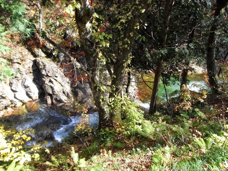 Tenjin Lodge image