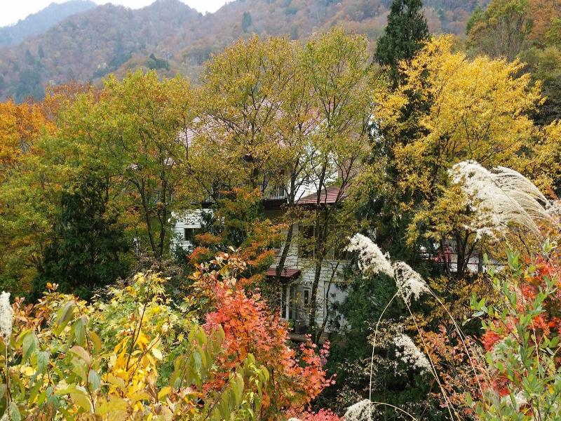 Tenjin Lodge image